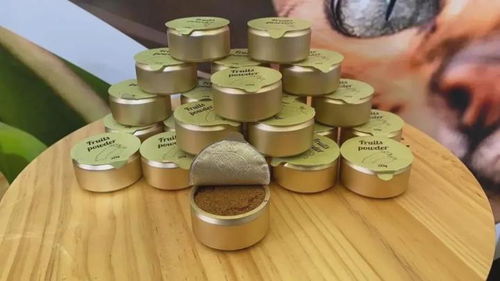 8個(gè)創(chuàng)意滿滿的貓咪用品 貓研所帶你逛亞寵展