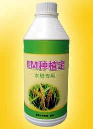 廣州以諾生物科技推出‘em種植寶’水稻專用產品，助力綠色農業發展